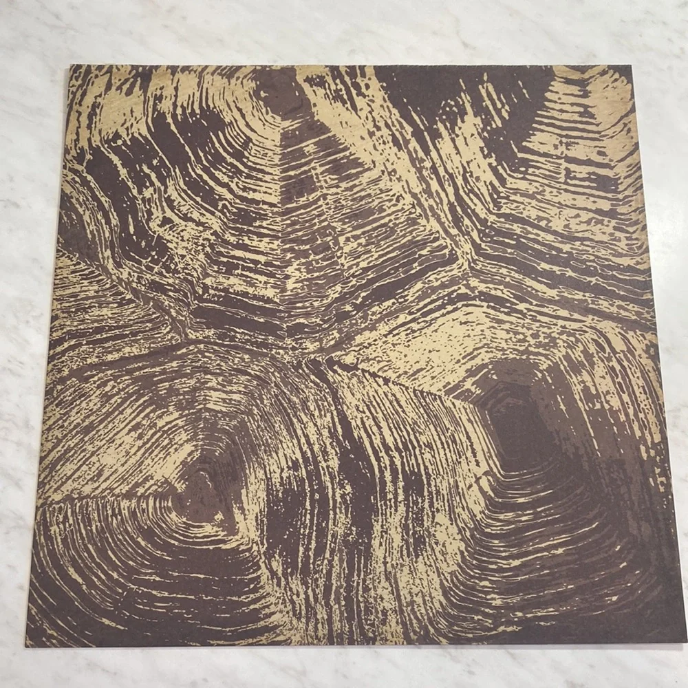 Tan Orange Animal Print 12x12 Scrapbook Paper 15 Sheets